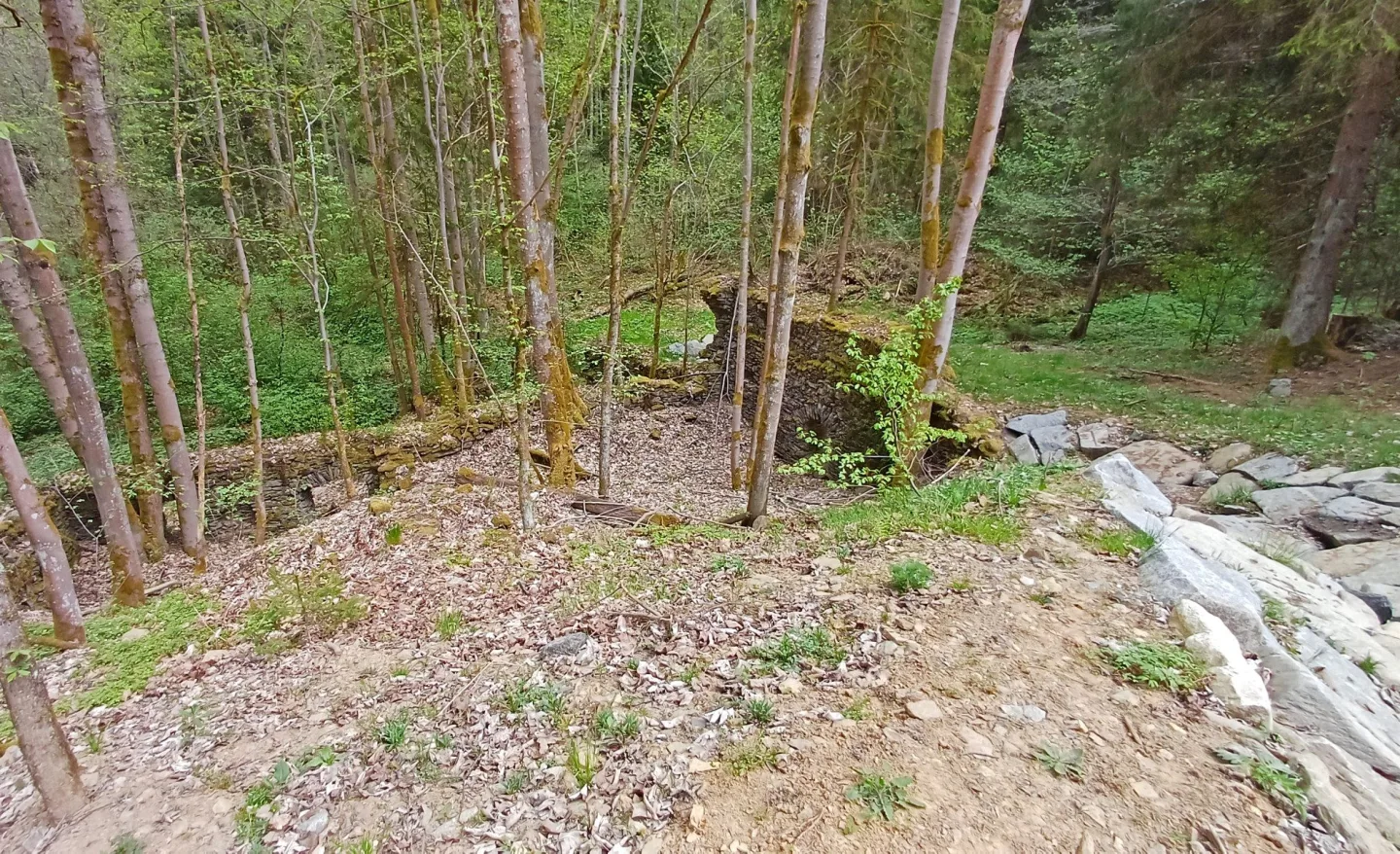 Porůstatky starého mlýna