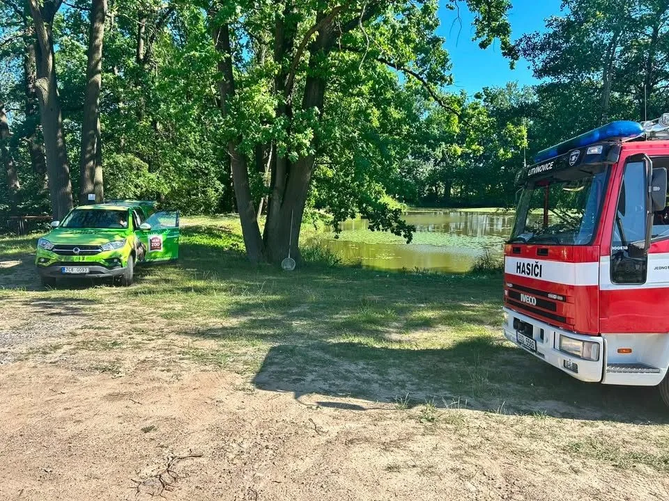 Ze sedmi labuťat zůstala v Litvínovicích jen tři. Jedno zachránila všímavá obyvatelka
