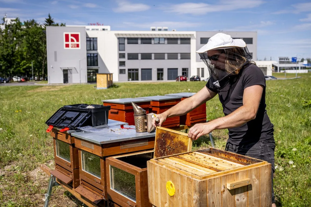 VŠTE pomáhá chránit včely bez chemie