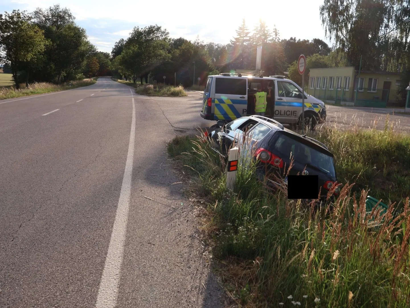 Sarančata v autě způsobila nehodu. Řidič po nečekaném útoku hmyzu vyjel ze silnice