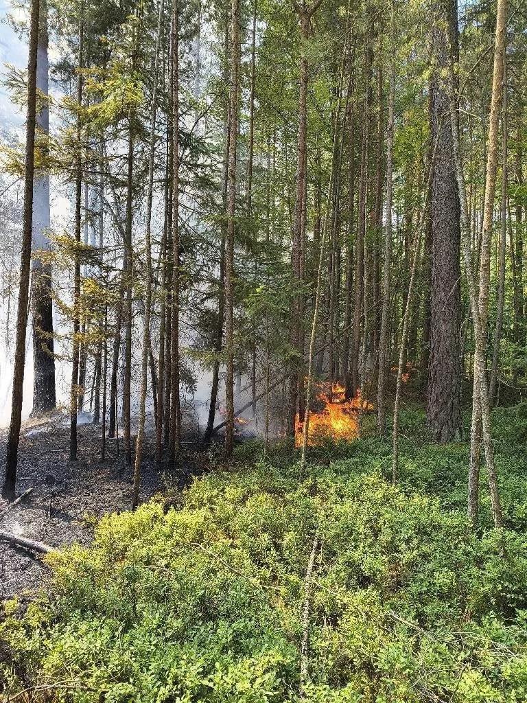 Požár v Národním parku Šumava. Hašení ohně komplikoval nepřístupný terén