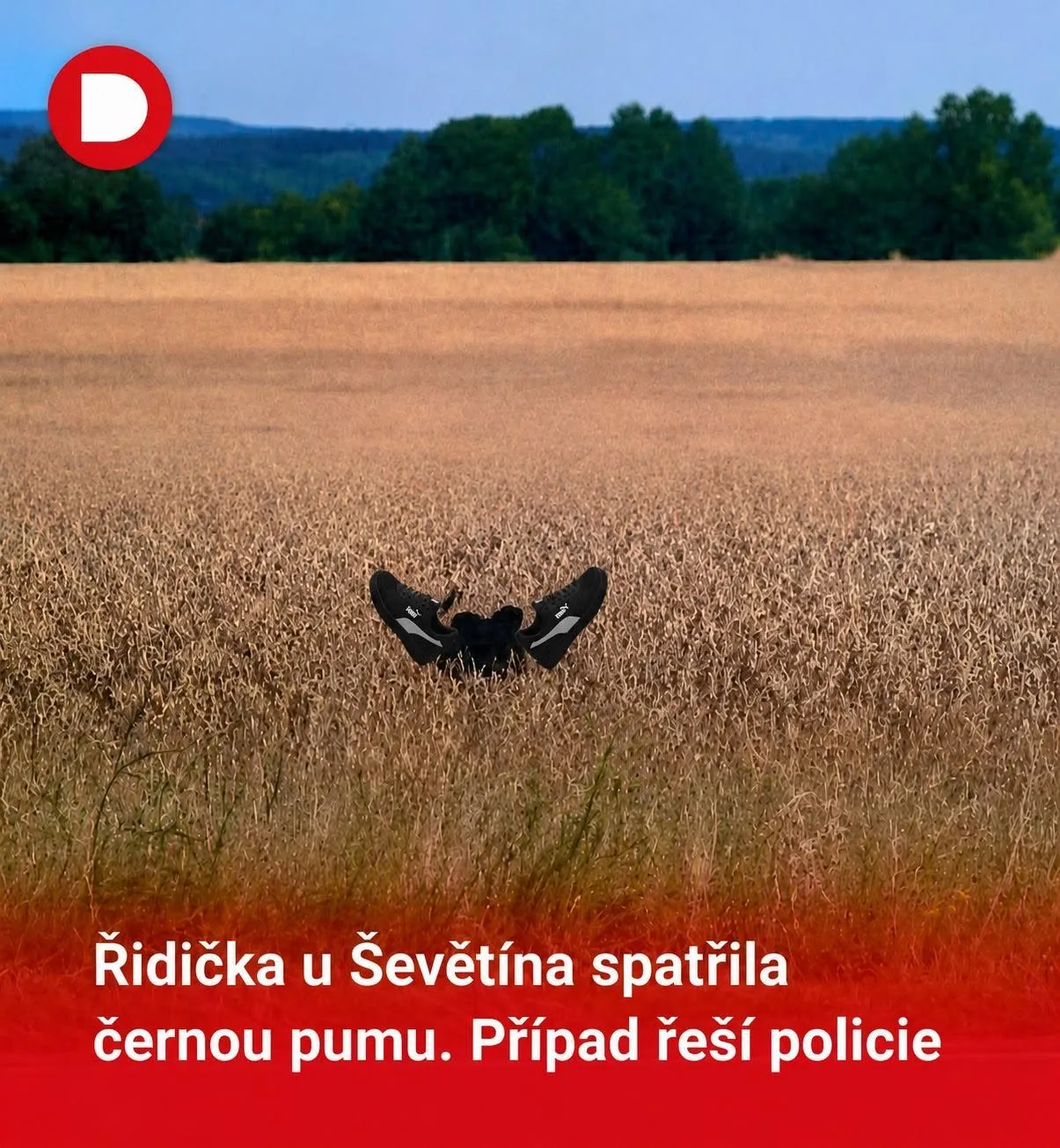Černý panter rozpoutal na jihu Čech lavinu vtipů. Internet zaplavily humorné koláže
