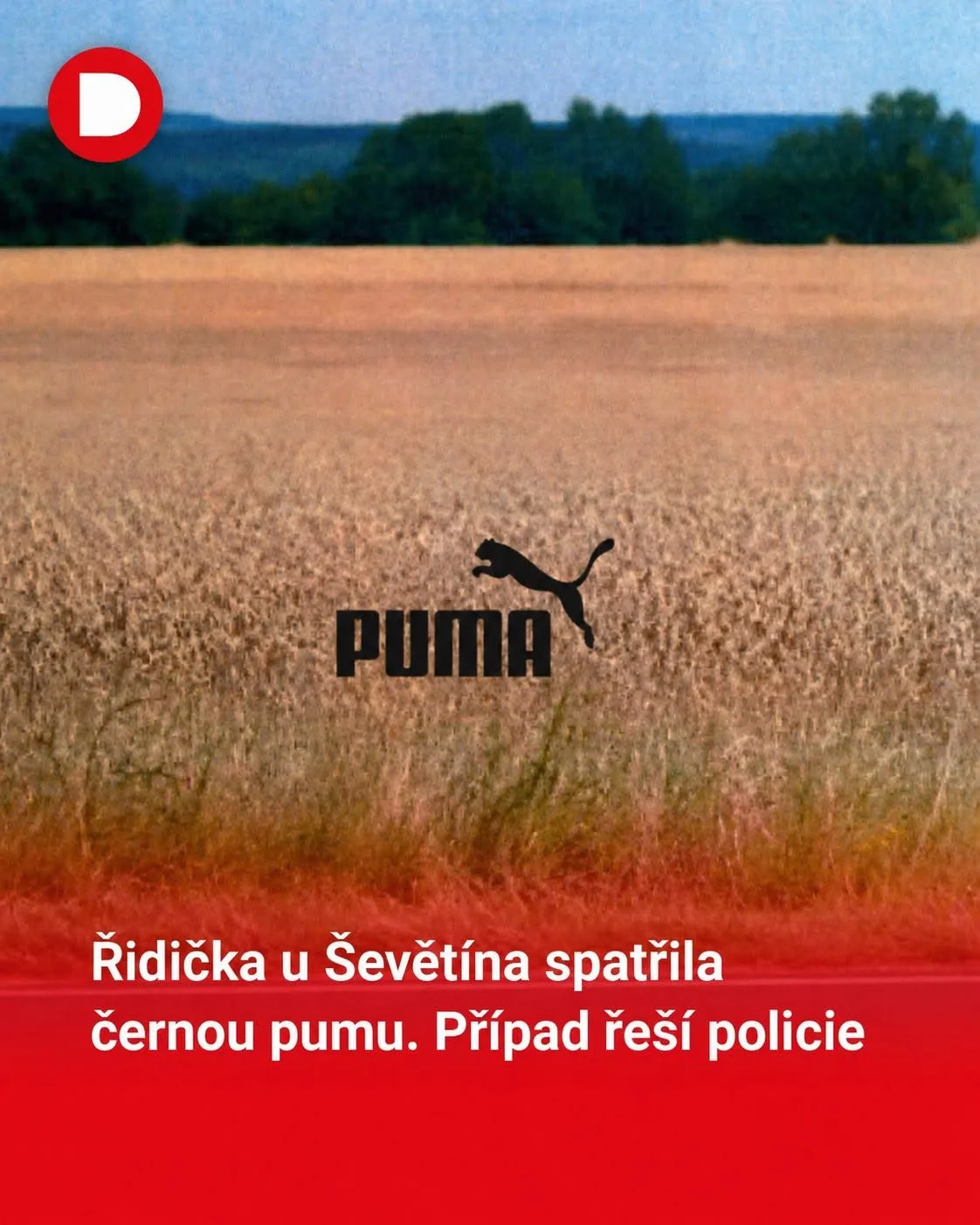 Černý panter rozpoutal na jihu Čech lavinu vtipů. Internet zaplavily humorné koláže