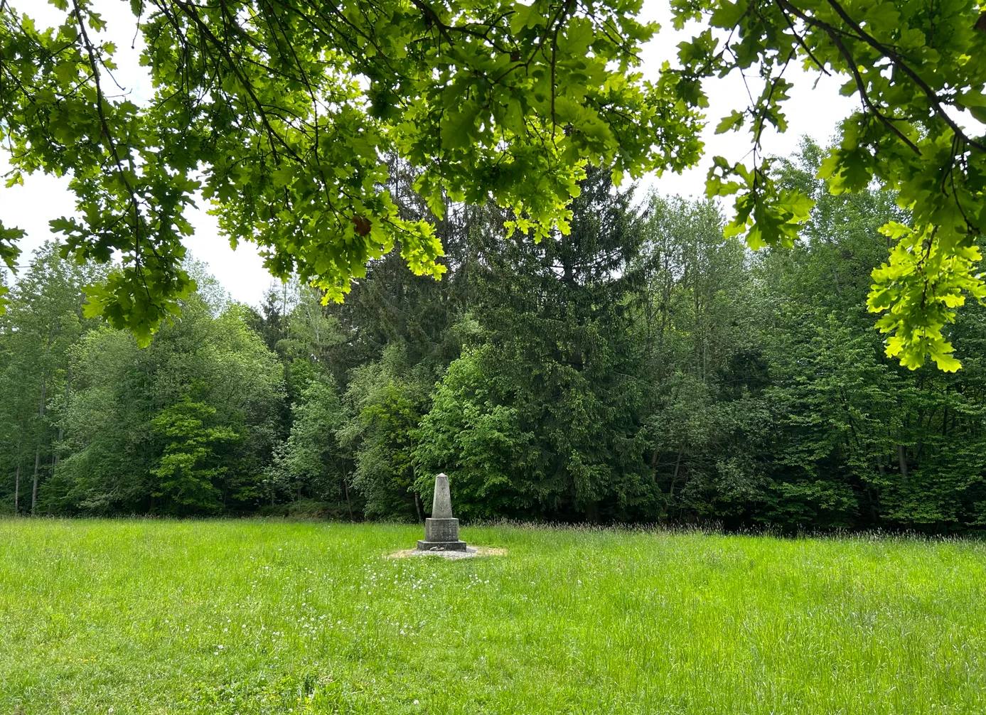 Locus Perennis, Foto: © Ministerstvo dopravy