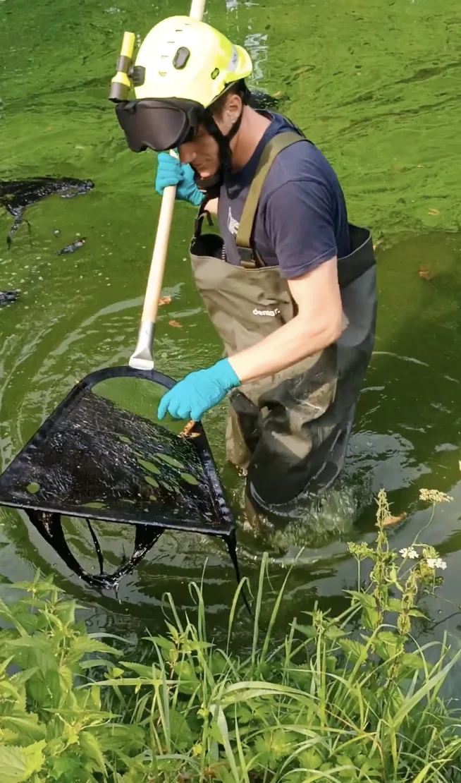 Černá mastná látka znečistila Nežárku. Vzorky putují na rozbor