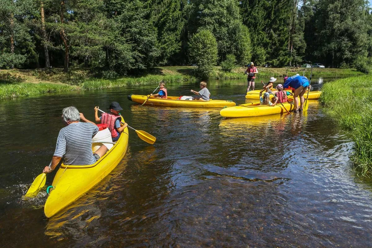 Kvůli nedostatku vody zastavil Národní park Šumava splouvání Teplé Vltavy