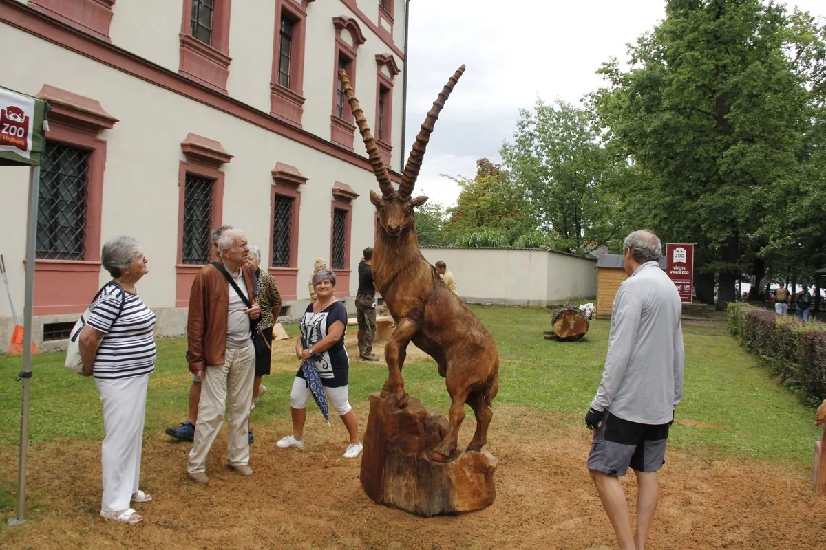 Dřevosochaři před Zoo Hluboká promění dřevo v umění