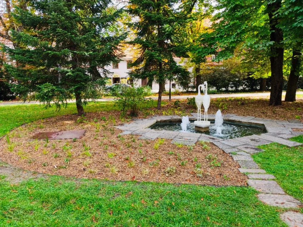 Budějce rozkvetly. Centrum zdobí tisíce rostlin, na podzim přibudou další barvy