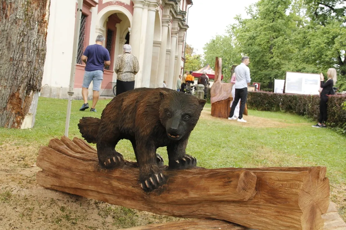 Dřevosochaři před Zoo Hluboká promění dřevo v umění
