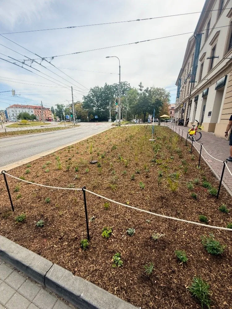 Budějce rozkvetly. Centrum zdobí tisíce rostlin, na podzim přibudou další barvy