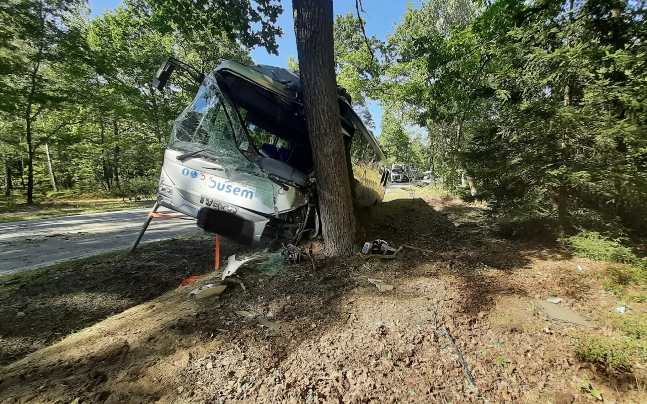 Autobus na Třeboňsku havaroval do stromu, několik osob se zranilo