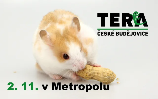 TERA České Budějovice