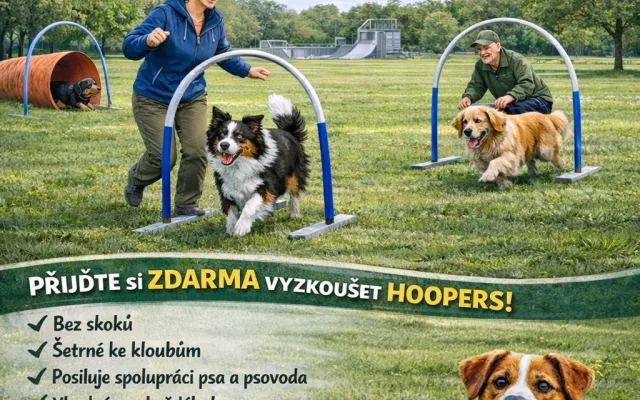 Ukázky psího sportu hoopers