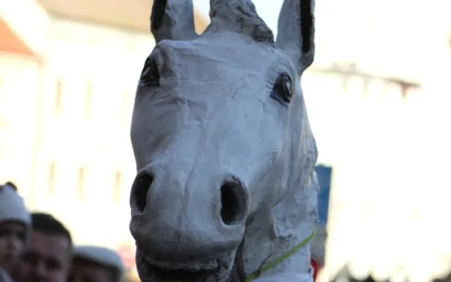 Budějcký masopust 2012