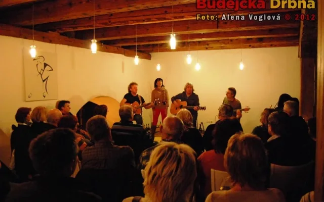 Koncert Pavla Žalmana Lohonky v Solnici
