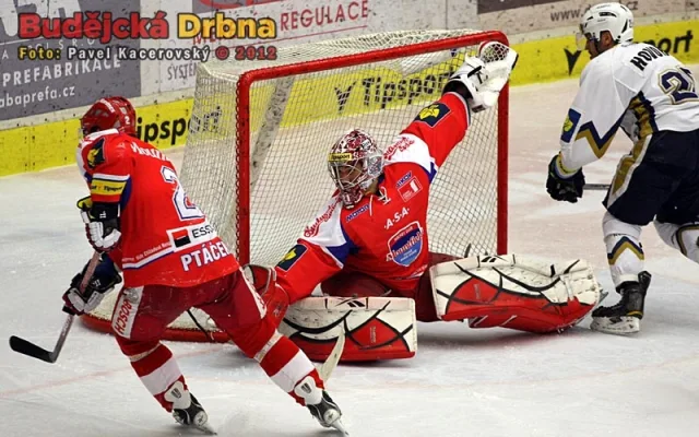 Jakub Kovář odchytal zápas proti Kladnu už v masce připravené  speciálně pro play off
