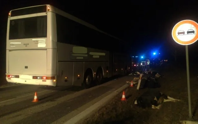 Po srážce autobusu se stádem krav byli u Krasejovky čtyři lidé zraněni, devět zvířat zemřelo