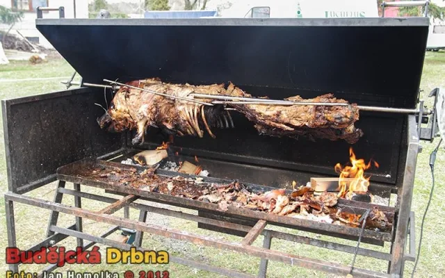 Pro hladové se na rožni opékal i čuník
