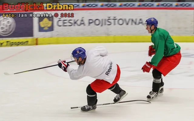 Trénink české hokejové reprezentace v Budějcích