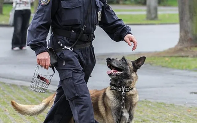 Ukázka policejní práce psovodů