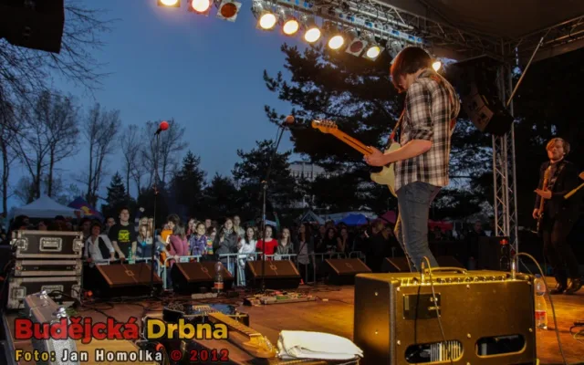 Koncert VEES
