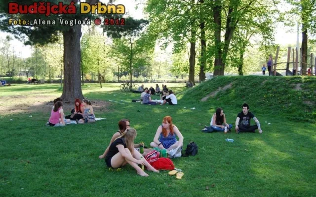Odpočívání ve stínu stromů