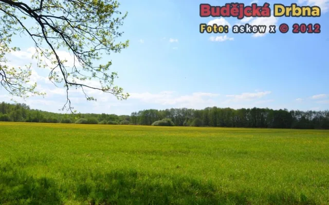 Přírodní rezervace Vrbenské rybníky