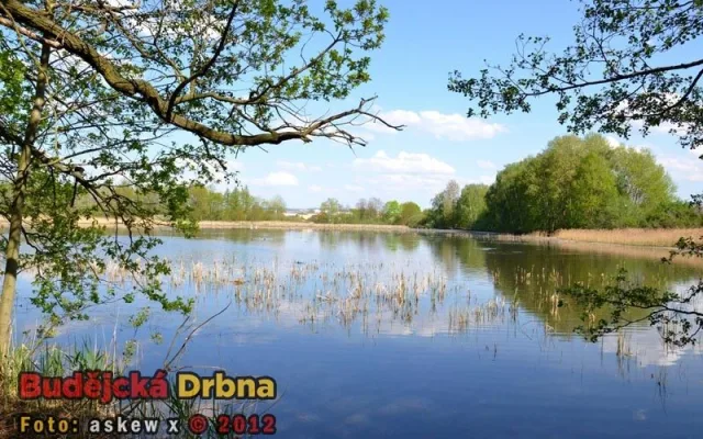 Přírodní rezervace Vrbenské rybníky