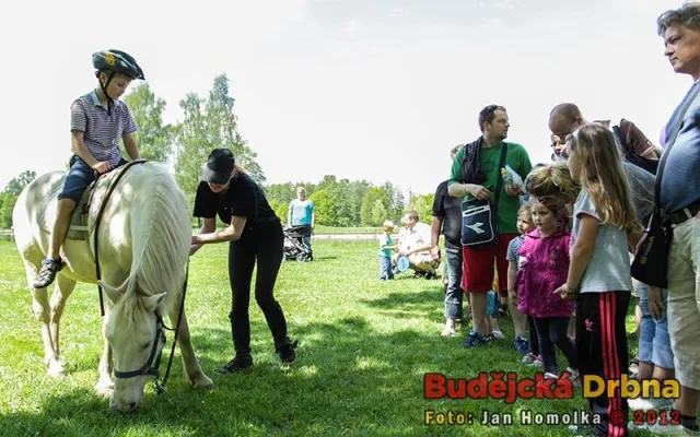Každý se chtěl projet na poníkovi