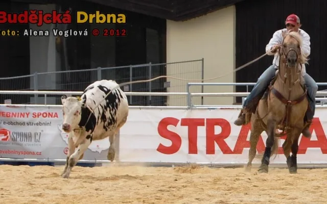Rodeo show