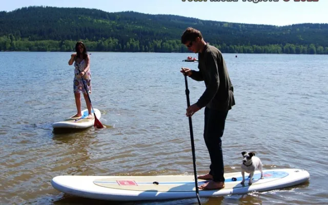 Paddle board nelákal pouze lidskou rasu