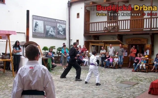 Japonské kulturní dny v domě U Beránka