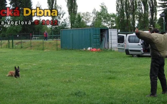 Policie předvedla zadržení pachatele pomocí cvičeného psa