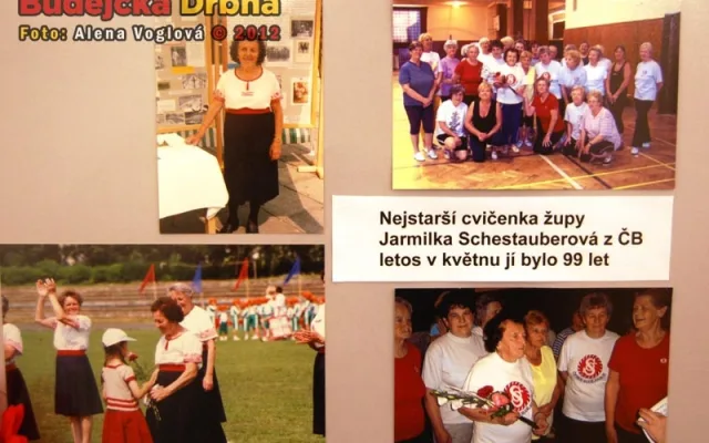 Na výstavě je k vidění třeba nejstarší členka Sokola