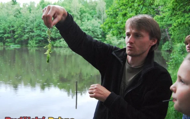 Botanik jihočeského muzea nám ukazoval masožravku Bublinatku jižní