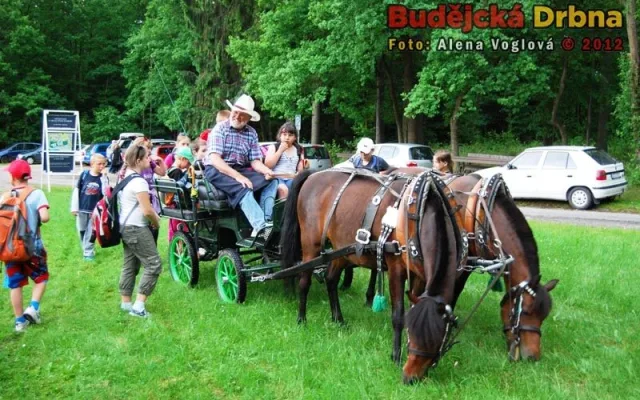 Děti se mohly nechat svézt na poveze