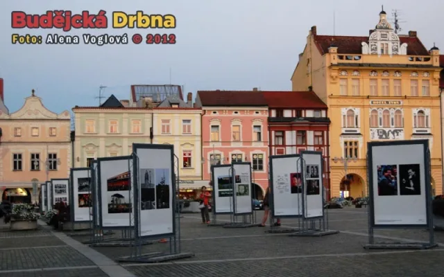 Konfrontaci si můžete prohlédnout zdarma a v jakoukoliv dobu