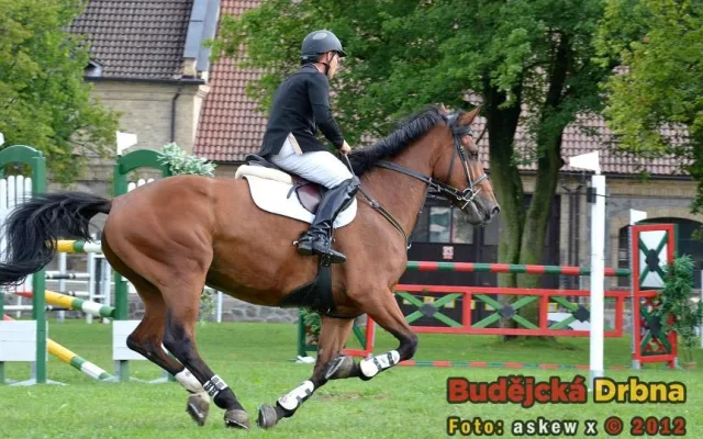 Velká cena Města Hluboká nad Vltavou 2012 073