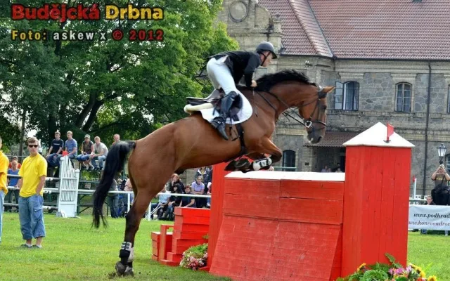 Velká cena Města Hluboká nad Vltavou 2012 134