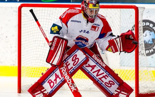 HC Plzeň 1929 - HC Mountfield 5:3