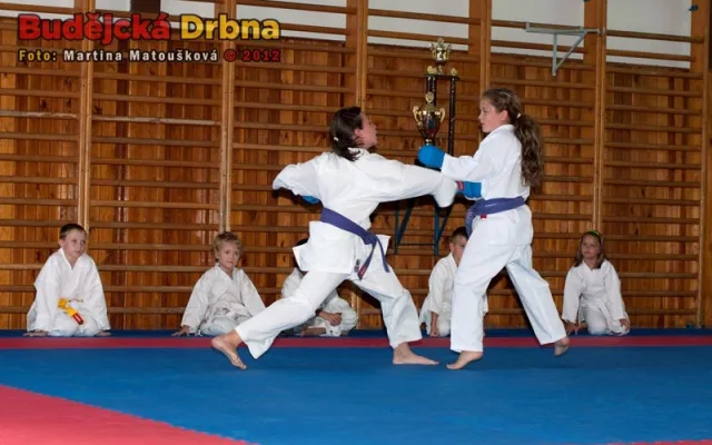 Nábor dětí do přípravky TJ Karate České Budějovice
