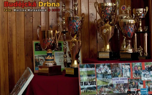 Nábor dětí do přípravky TJ Karate České Budějovice