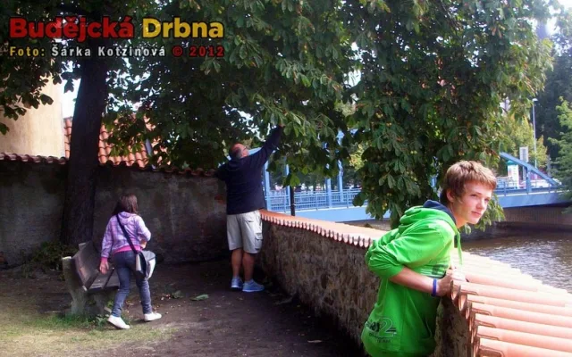 Biskupská zahrada