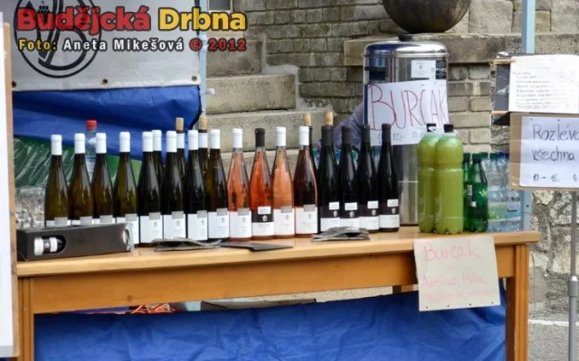 Slavnosti vína v Hluboké nad Vltavou