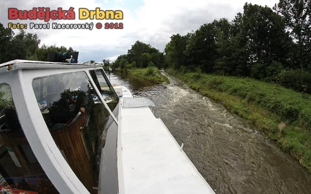Levostranný přítok Vltavy u Bavorovic
