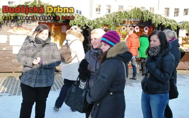 Zamrznutá skupinka dívek