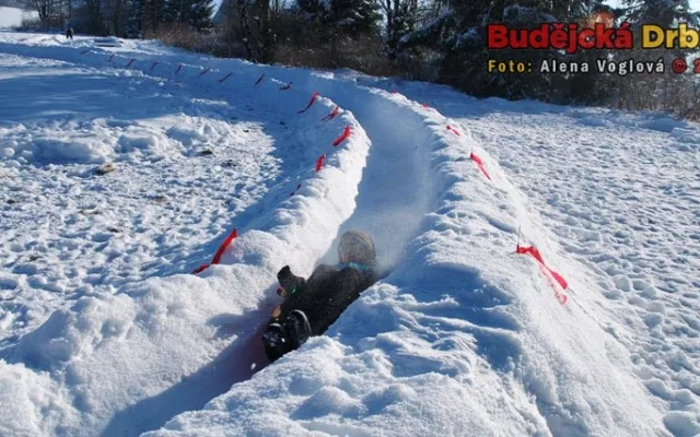 Budějcká Drbna trénuje na závod