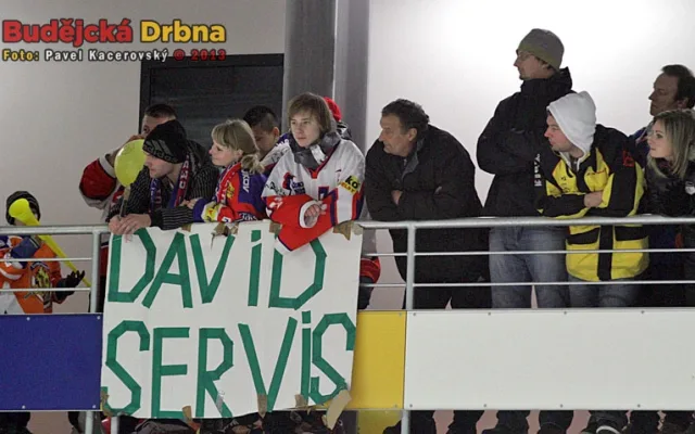 Fanoušci David Servisu