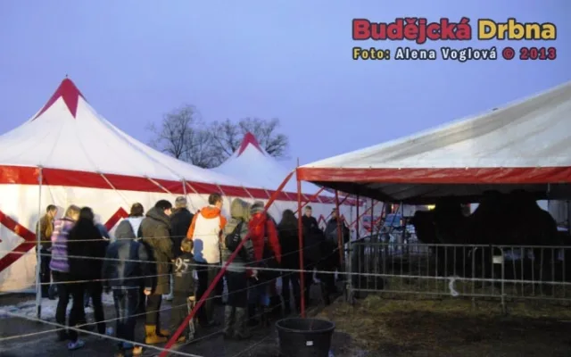 O přestávce bylo možné si prohlédnout zvířata zblízka