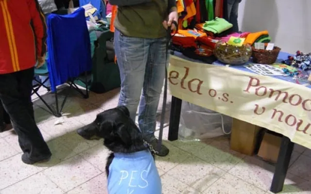 Mohli jste i pomoci dobré věci